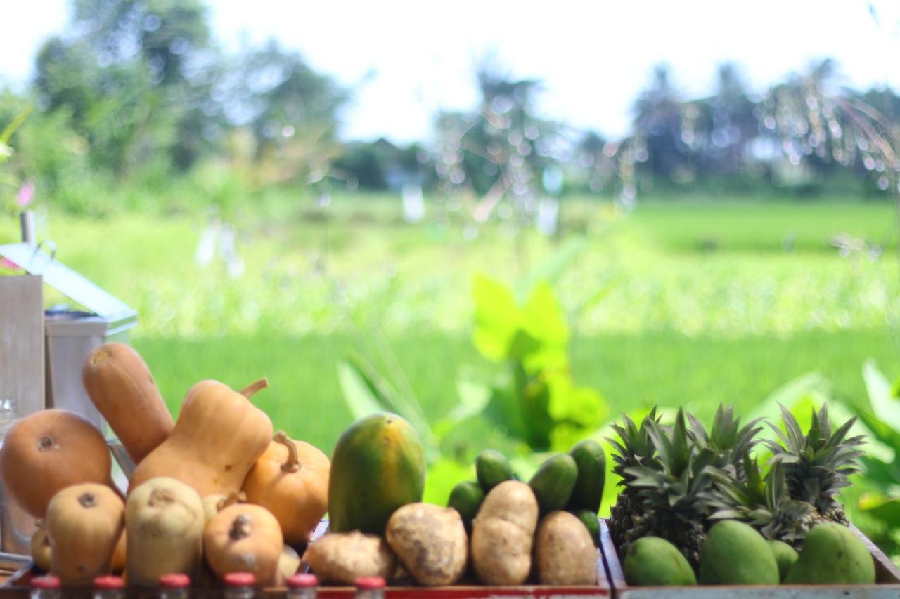 Nauna Villa Ubud Dış mekan fotoğraf