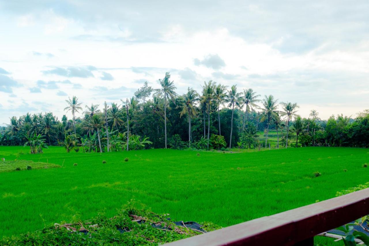 Nauna Villa Ubud Dış mekan fotoğraf