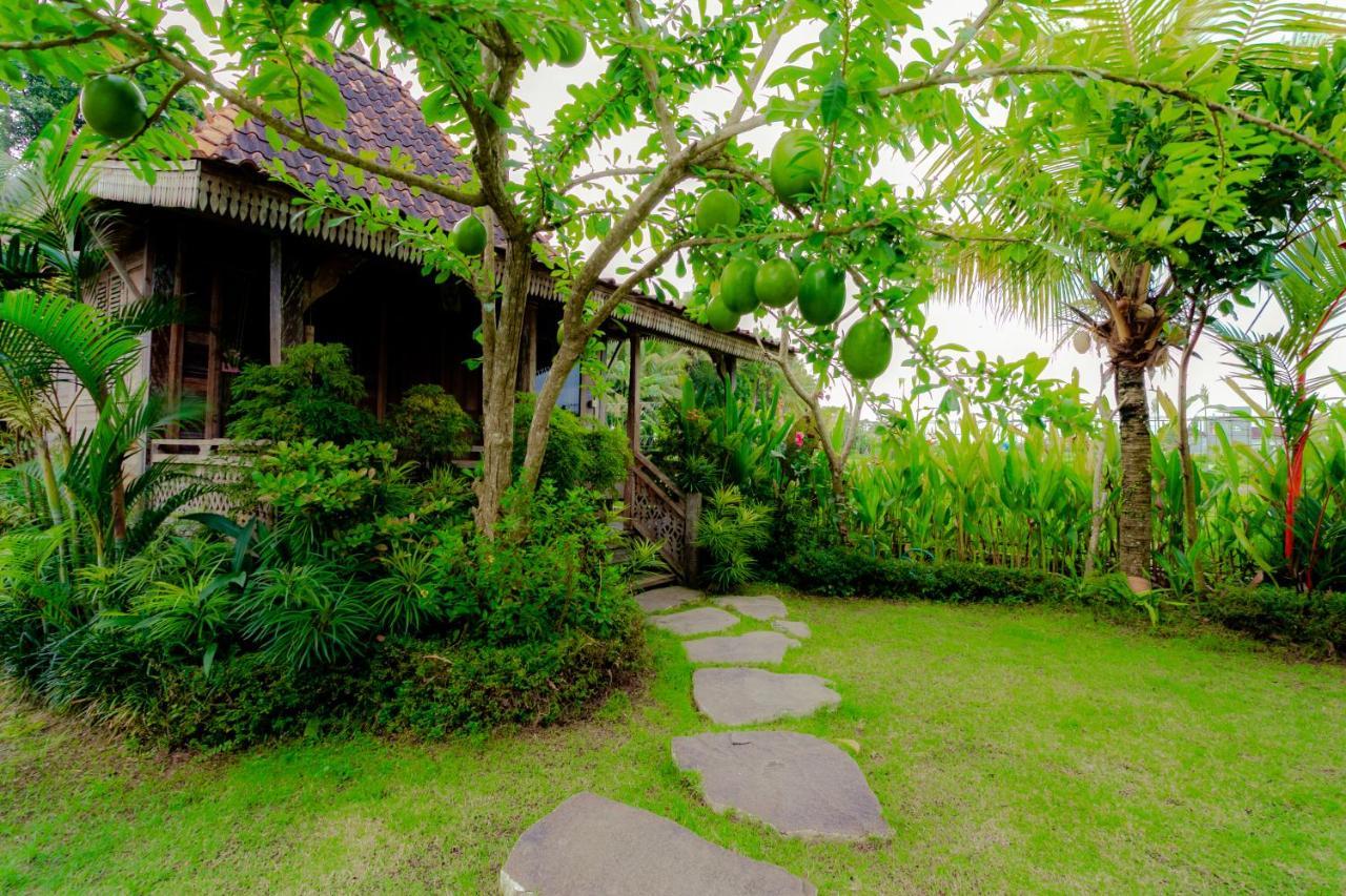 Nauna Villa Ubud Dış mekan fotoğraf