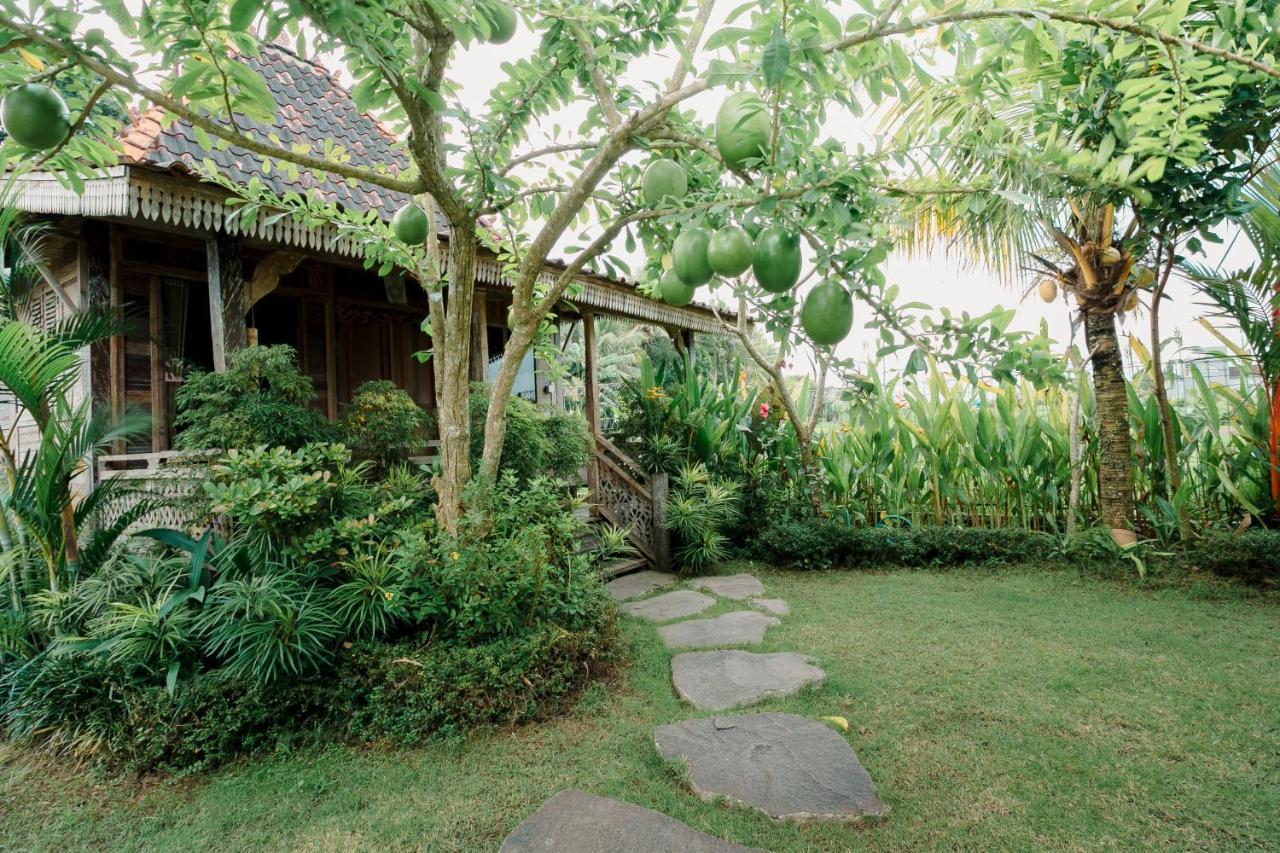 Nauna Villa Ubud Dış mekan fotoğraf