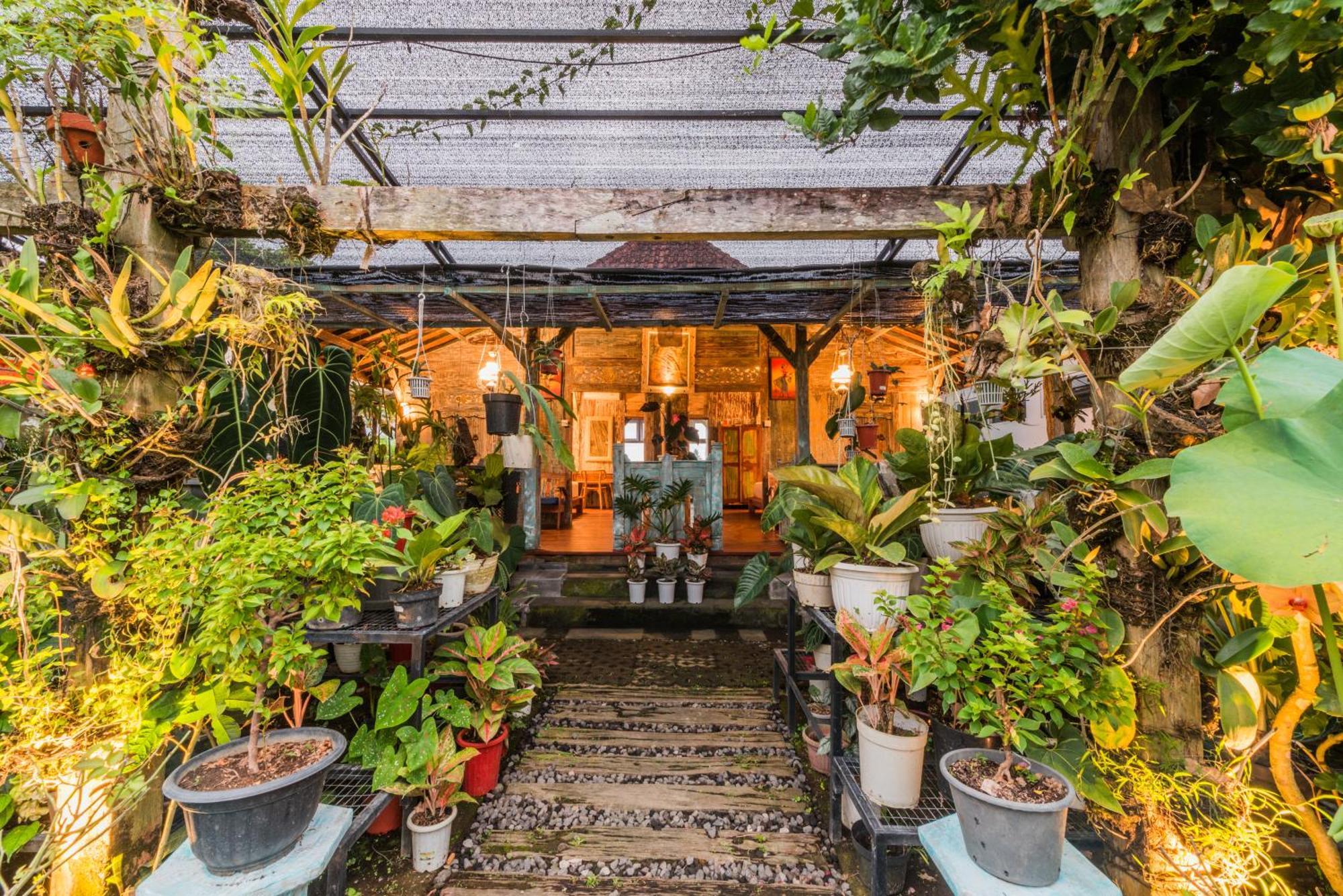 Nauna Villa Ubud Dış mekan fotoğraf